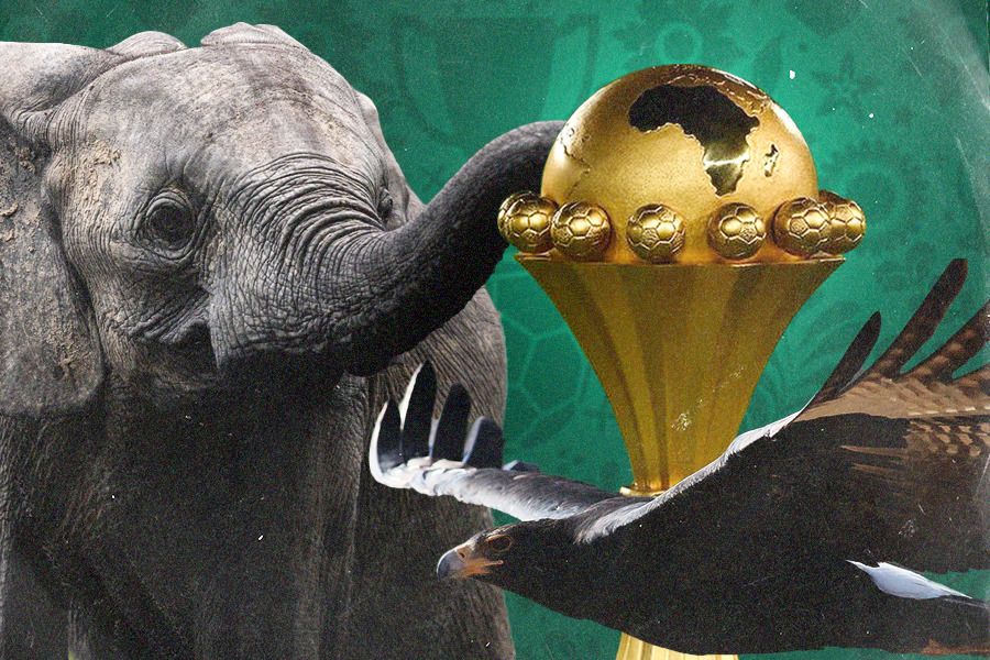 Julukan 24 tim kontestan di Piala Afrika 2023. (Jovi Arnanda/Skor.id).