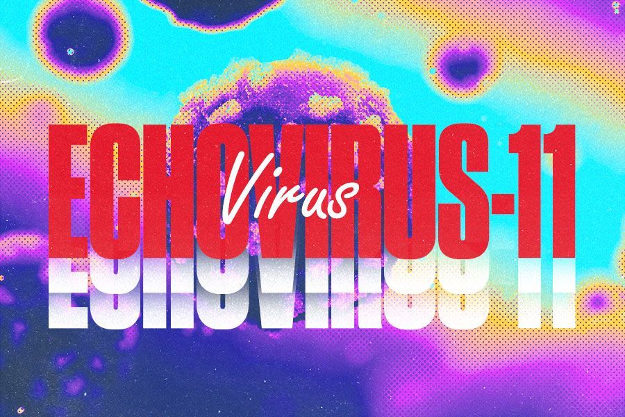 Ilustrasi virus echovirus-11. (M. Yusuf/Skor.id)
