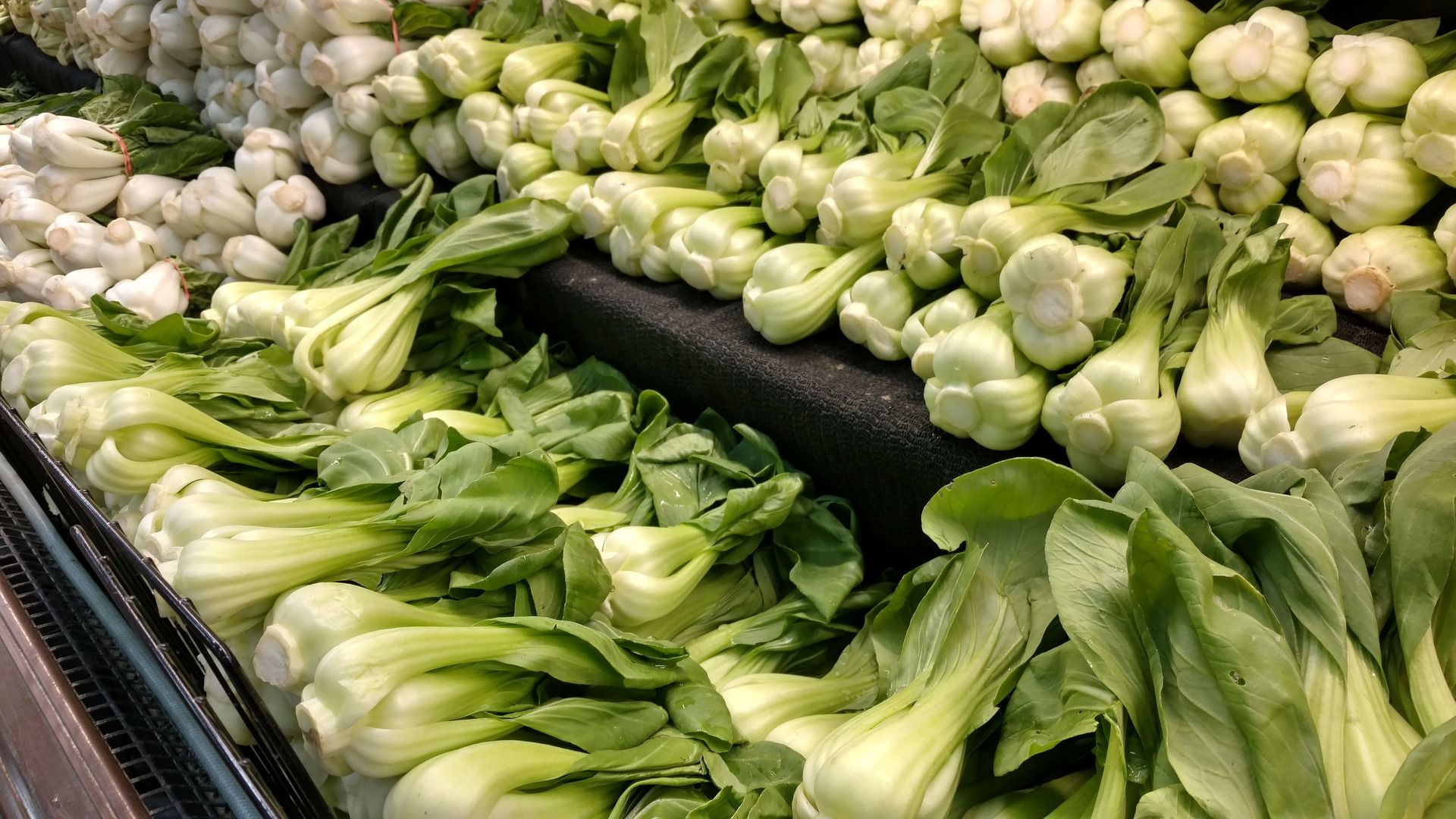 Pok choy adalah sayuran berdaun hijau yang telah menjadi makanan pokok masakan Asia selama berabad-abad (Dok. CSU-Extension/Pixabay).