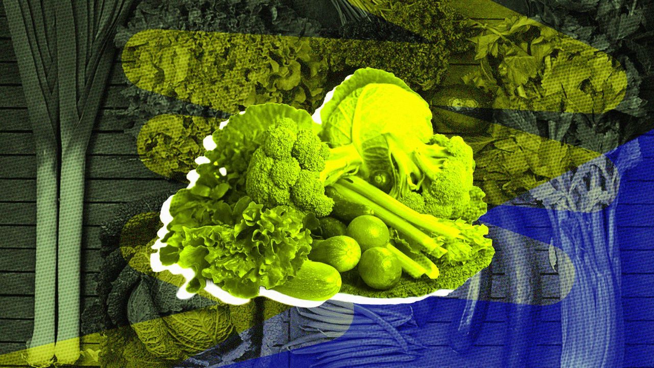 Penelitian menyebutkan sayuran hijau merupakan suplemen terbaik untuk perawatan otak (Hendy AS/Skor.id).