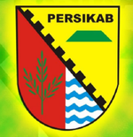 Bursa Transfer Liga 2: Eks Pemain Persija dan Persib Resmi ke Persikab