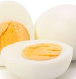 Alasan Putih Telur Menjadi Sumber Protein Favorit Para Pegiat Fitness