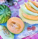10 Manfaat Bagus Buah Blewah, Melon dan Semangka untuk Kesehatan