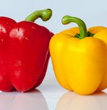 Mengenal Beragam Manfaat Paprika untuk Kesehatan