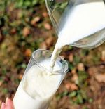 9 Susu Non-Dairy Terbaik untuk Pengganti Susu Sapi