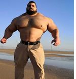 Duel Batal, Hulk Iran Sebut Martyn Ford Buronan