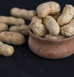 Kacang Terbukti Meningkatkan Kualitas Sperma