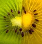 Kiwi Hijau dan Kiwi Kuning, Apa Perbedaannya?