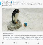 VIDEO: Toby, Penguin Cerdas Resor Ski Dubai yang Ramal Kemenangan Arab Saudi dan Jepang