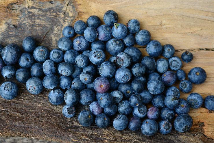 Deretan Manfaat Buah Blueberry untuk Kesehatan