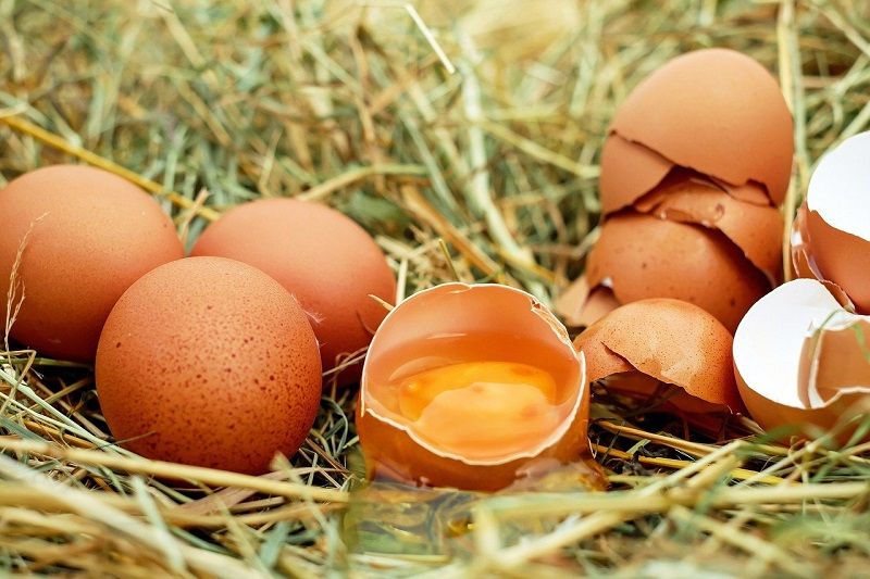 Ilustrasi telur sebagai salah satu makanan yang mengandung protein.