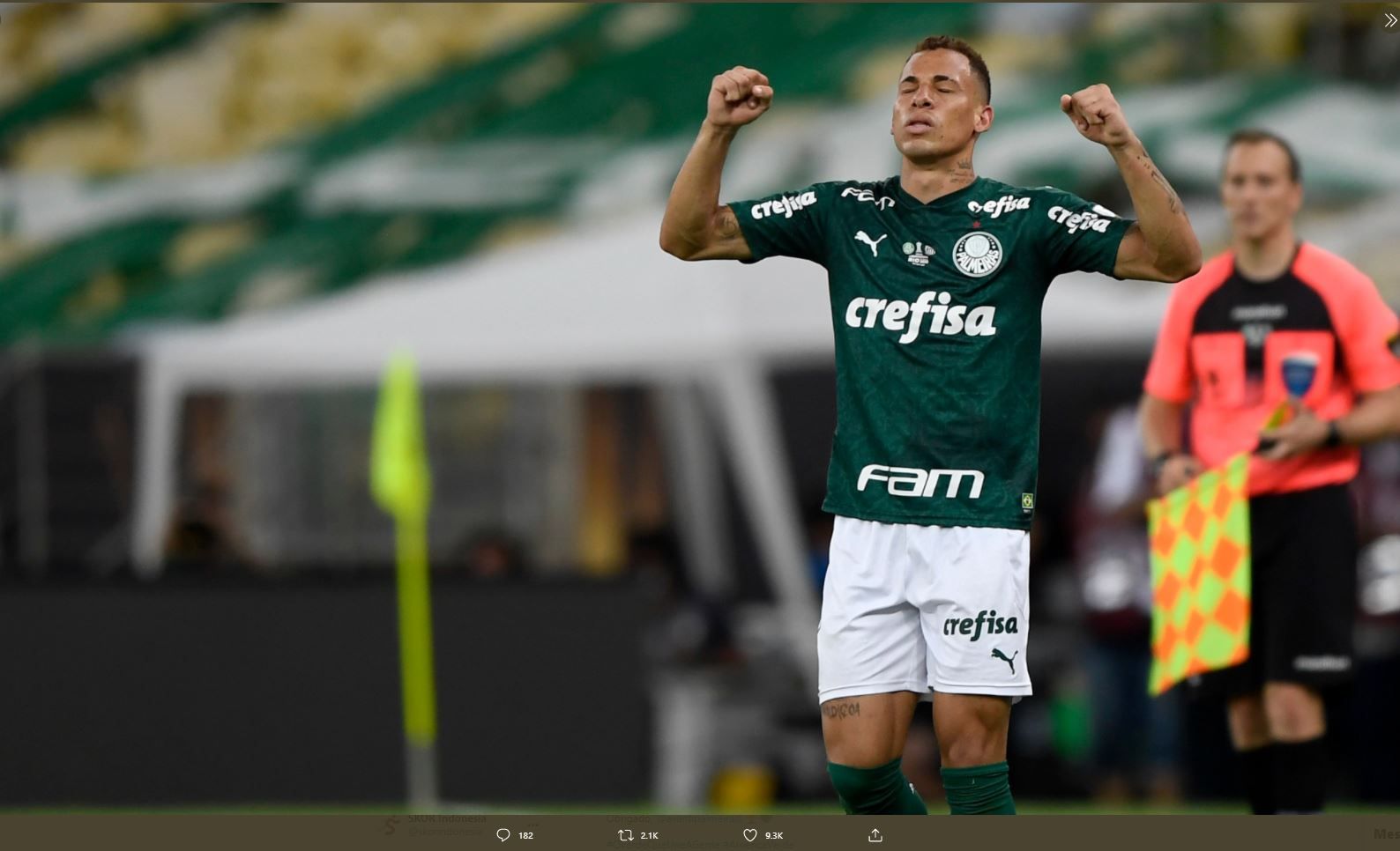 Tigres vs palmeiras discount stream