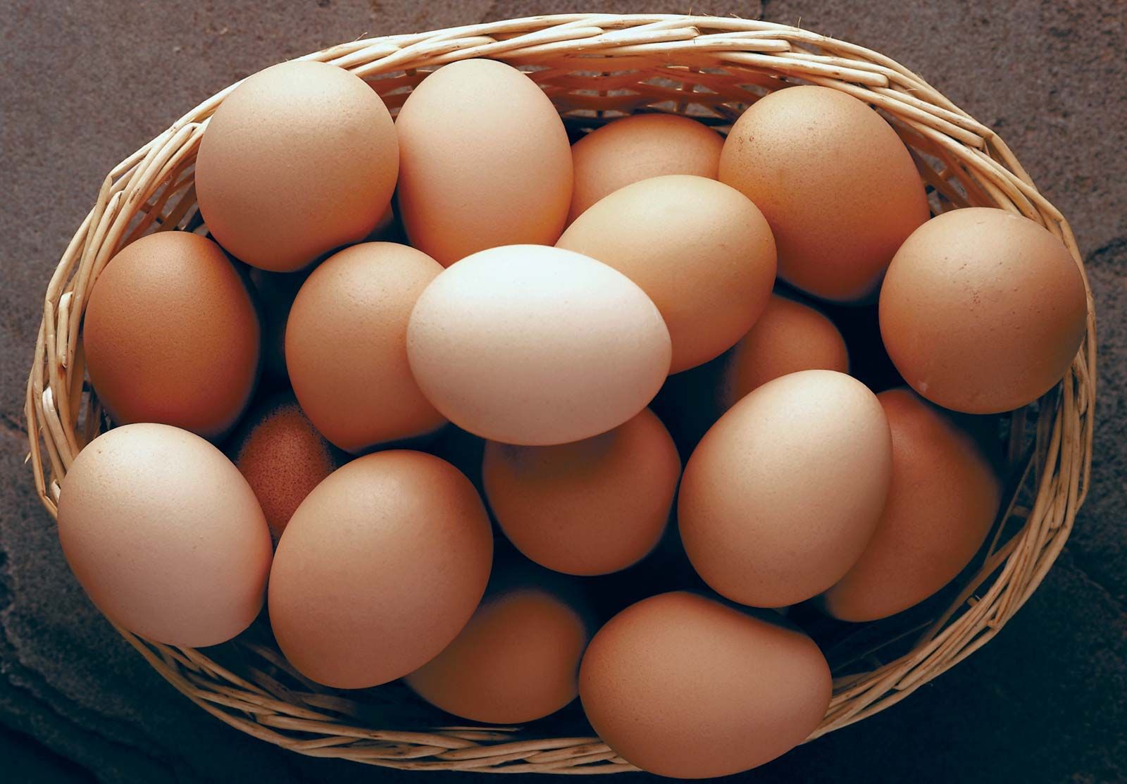 Ilustrasi sekeranjang telur ayam.