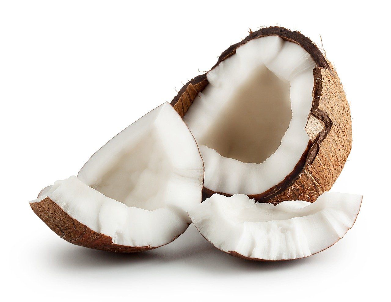 Ilustrasi kelapa