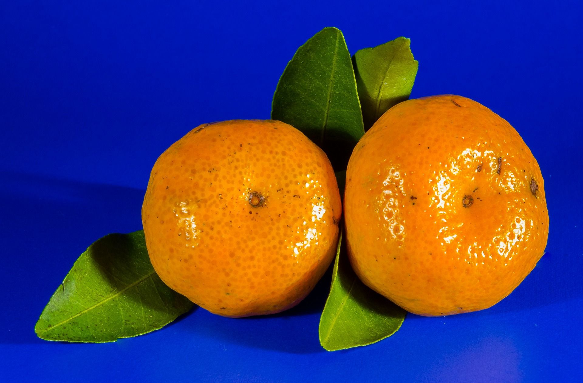 Ilustrasi jeruk keprok.