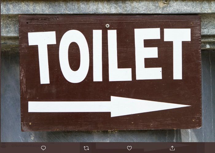 Ilustrasi toilet, bahwa kondisi ketika Anda terlalu sedikit mengeluarkan urine, bisa jadi itu pertanda ada yang tidak beres.