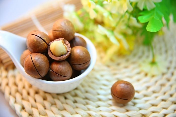 Ilustrasi kacang macadamia.