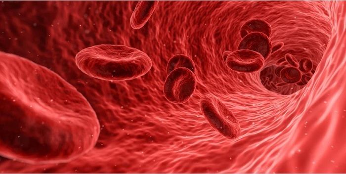 Ilustrasi sel darah merah dalam tubuh.