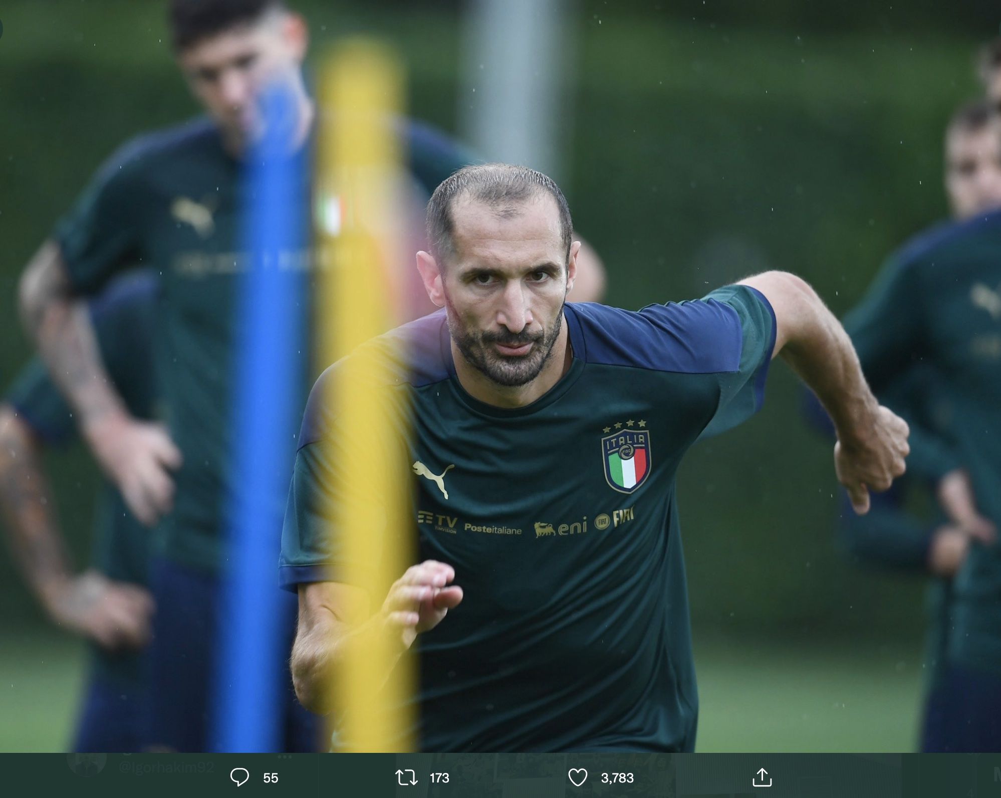 Bek Tim Nasional Italia dan Juventus, Giorgio Chiellini.