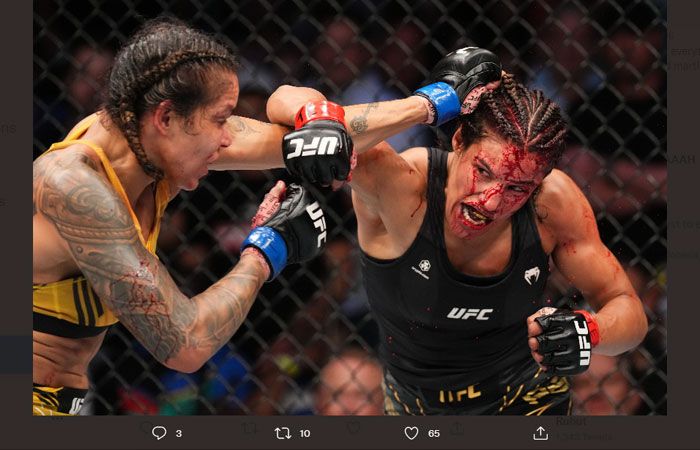 Amanda Nunes telah menghancurkan Julianna Pena di UFC 277, Minggu (31/7/2022). 