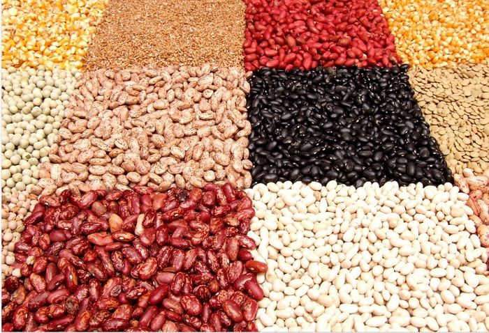 Ilustrasi beragam jenis kacang-kacangan yang merupakan sumber protein nabati terbaik.