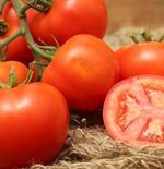 5 Manfaat Tomat untuk Kesehatan Kulit