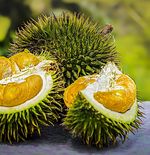 Termasuk Kandungan Serat yang Tinggi, Berikut Nutrisi yang Ada dalam Biji Durian