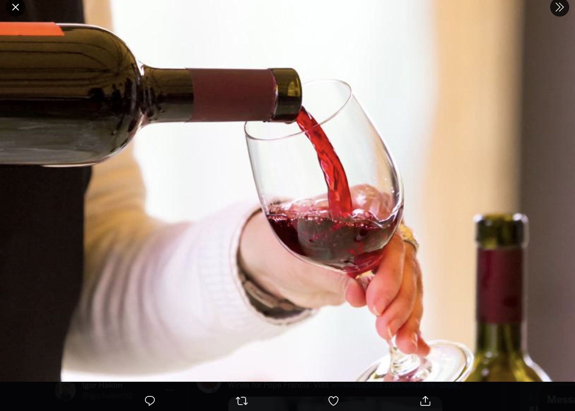 Ilustrasi red wine atau anggur merah.