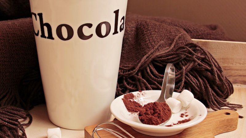 Ilustrasi kakao. 