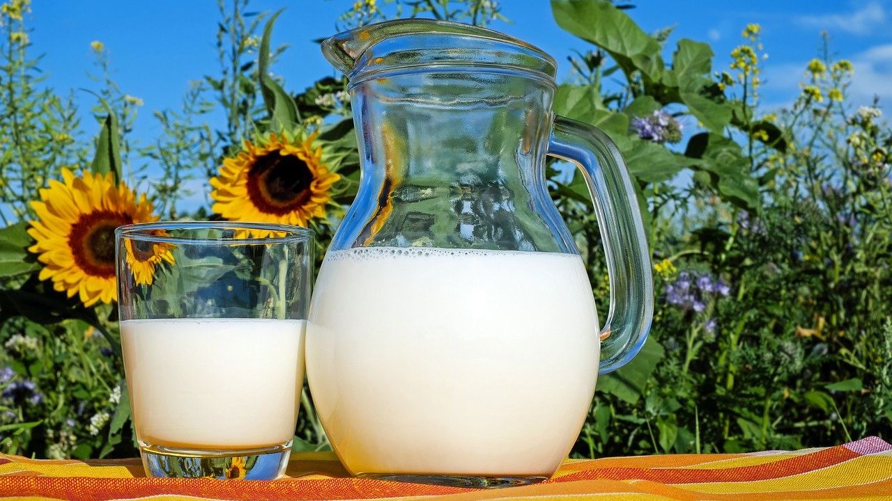 Ilustrasi susu dalam gelas dan pitcher.
