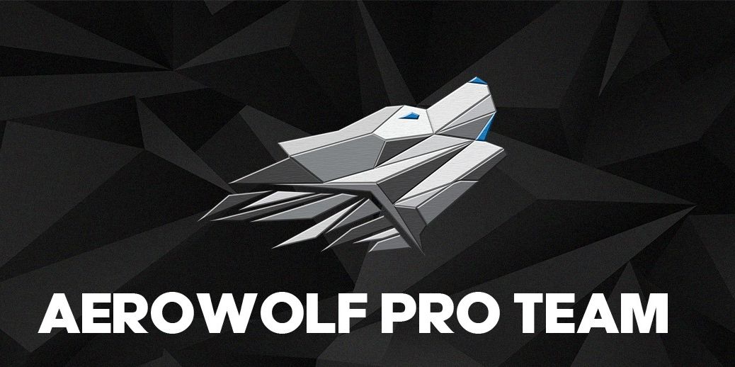 Logo Aerowolf Pro Team.