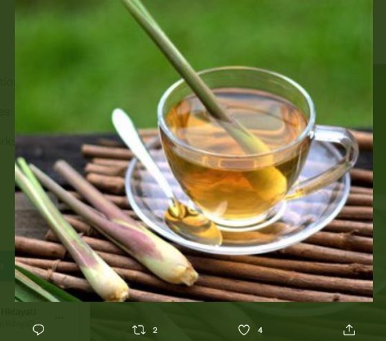 Ilustrasi teh herbal yang menggunakan bahan tanaman serai.