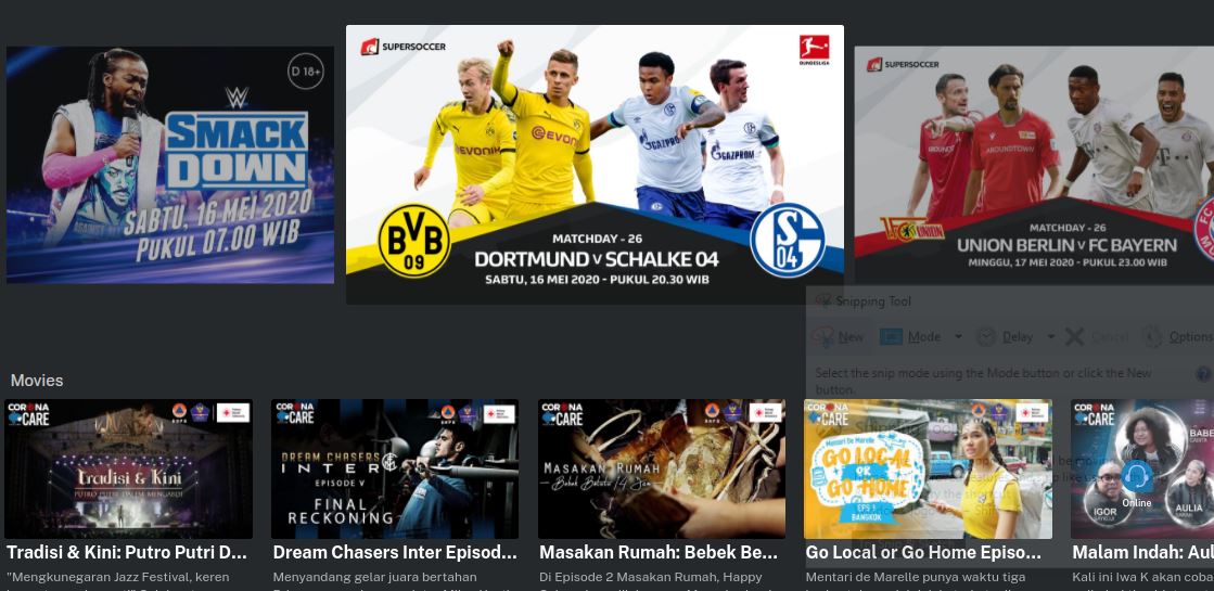 Cara Akses Live Streaming Liga Jerman di Mola TV: Download Aplikasi, Donasi, Nikmati