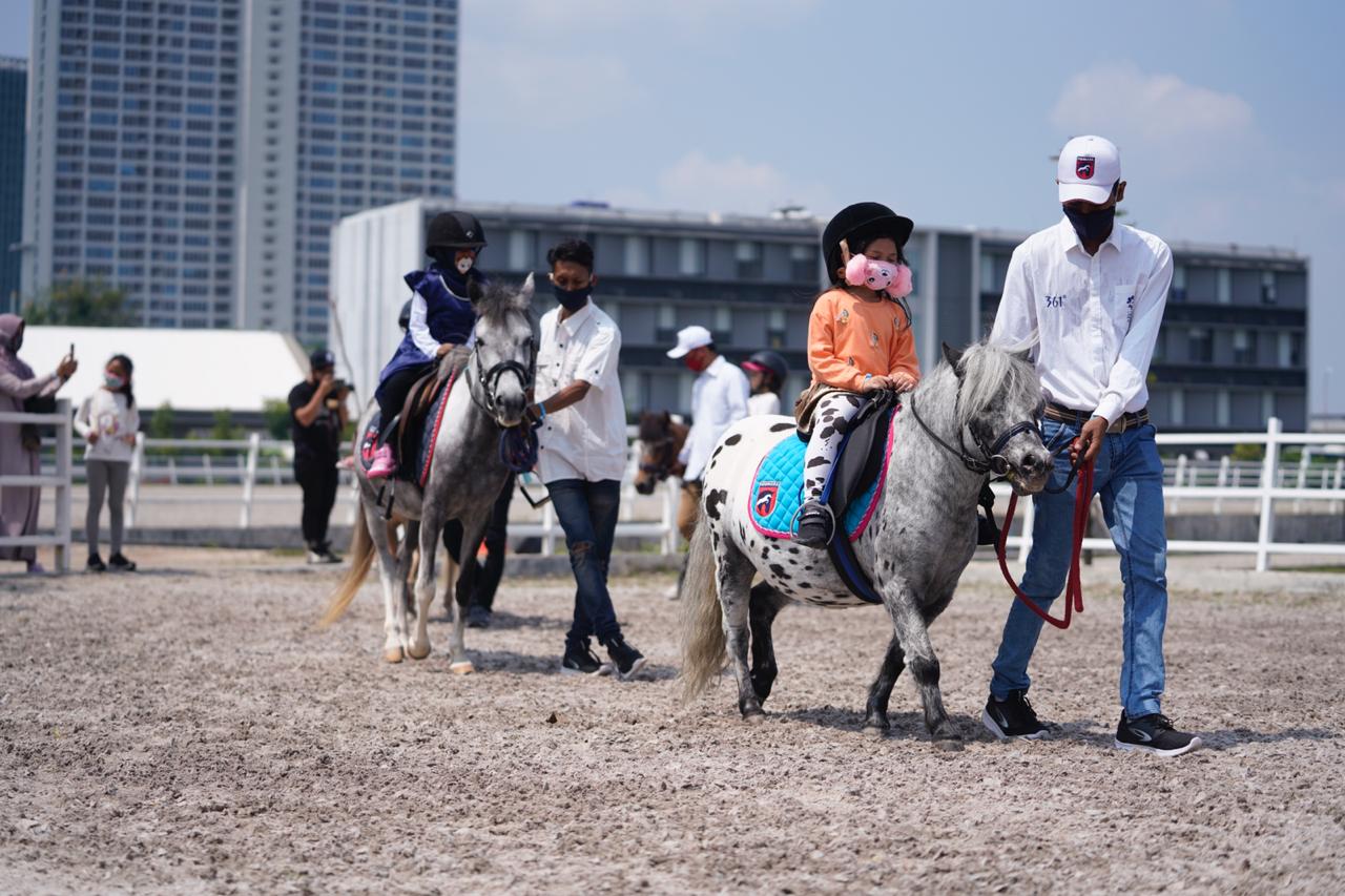 Equinara Horse Sports Ingin Kembangkan Potensi Kuda Poni di Indonesia