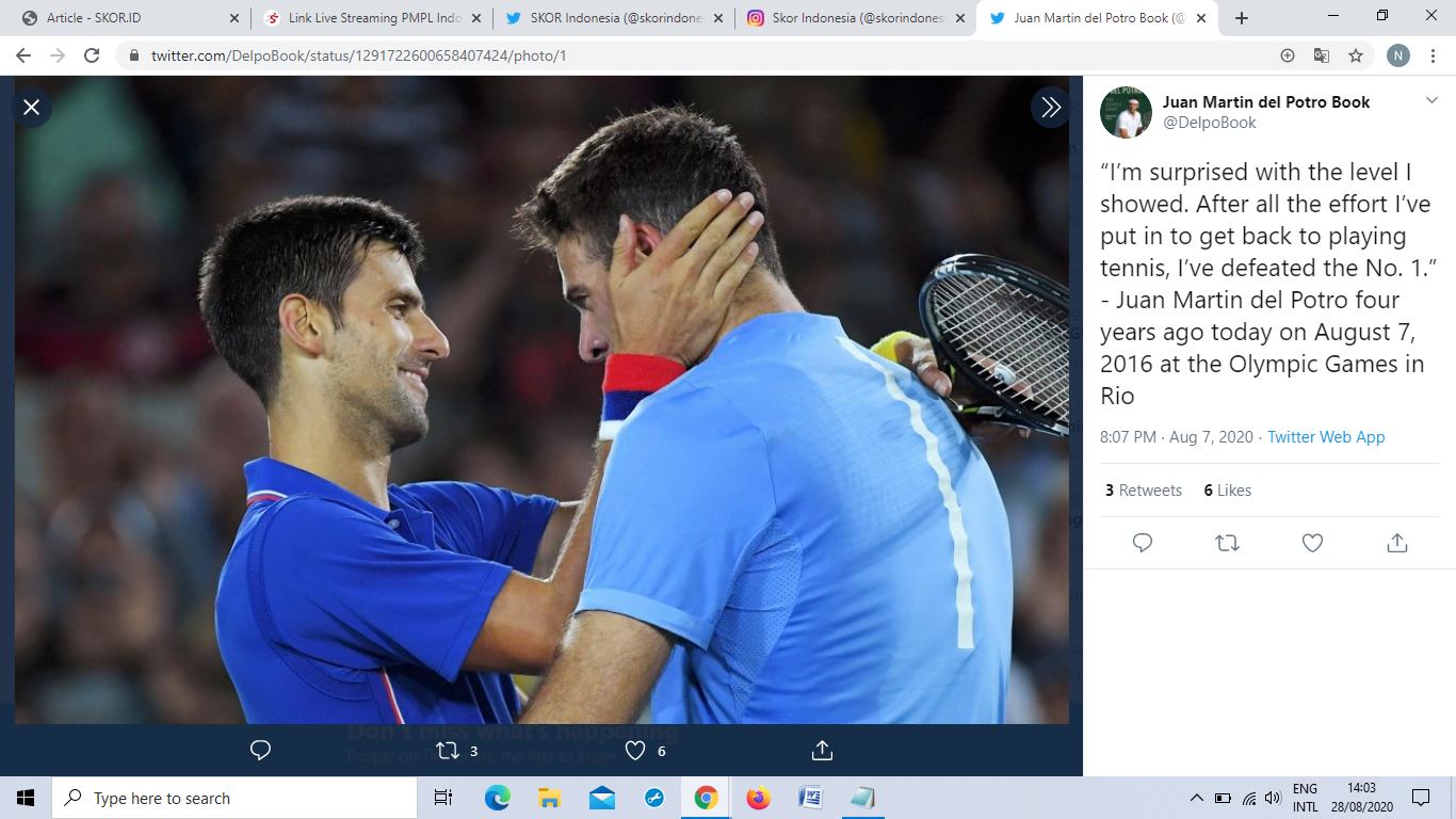 Novak Djokovic Sebut Juan del Potro Petenis Paling Malang