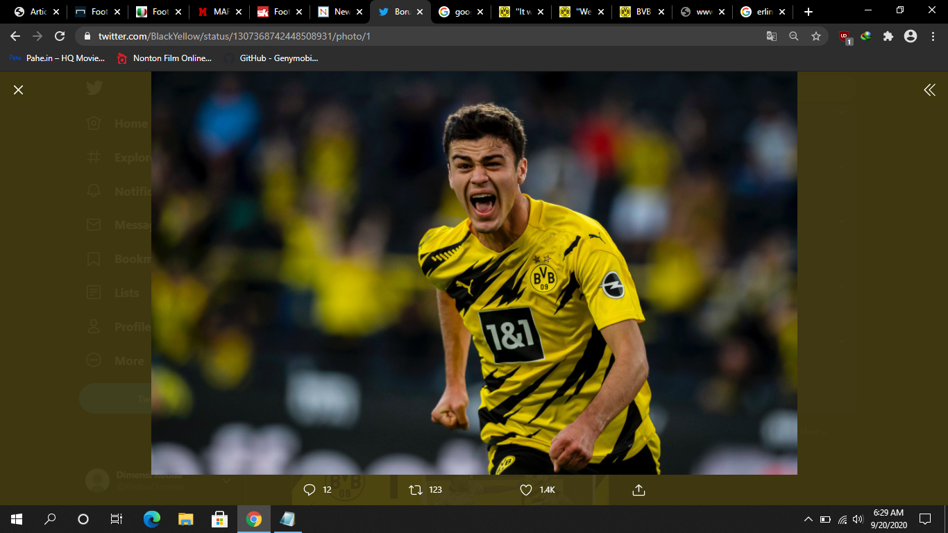 2 Pencetak Gol Borussia Dortmund Bahagia Raih Kemenangan di Depan Suporter
