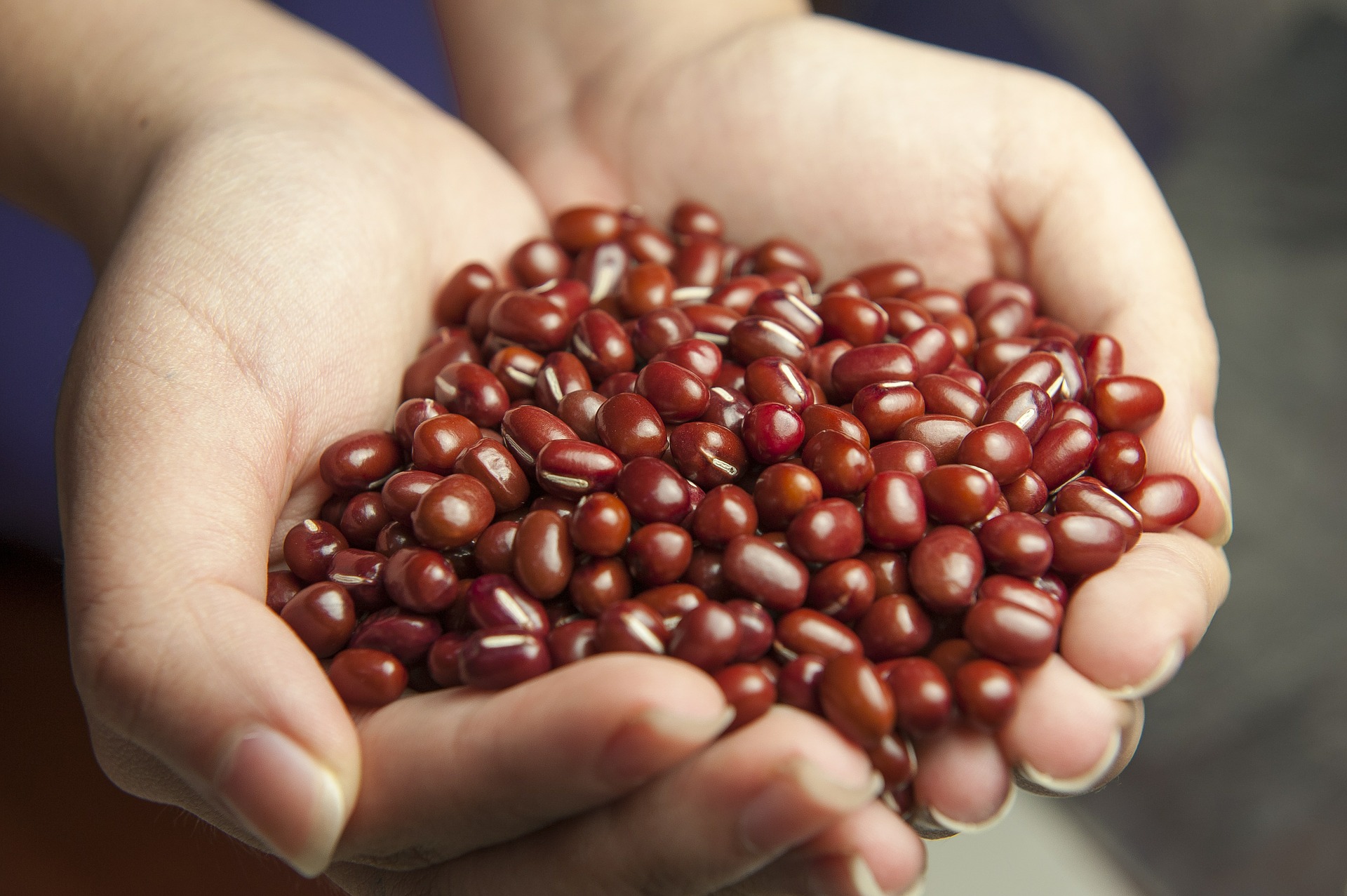 Mengenal 4 Manfaat Kacang Merah yang Jarang Diketahui