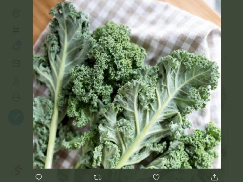 5 Khasiat Daun Kale, si Ratu Sayuran bagi Kesehatan