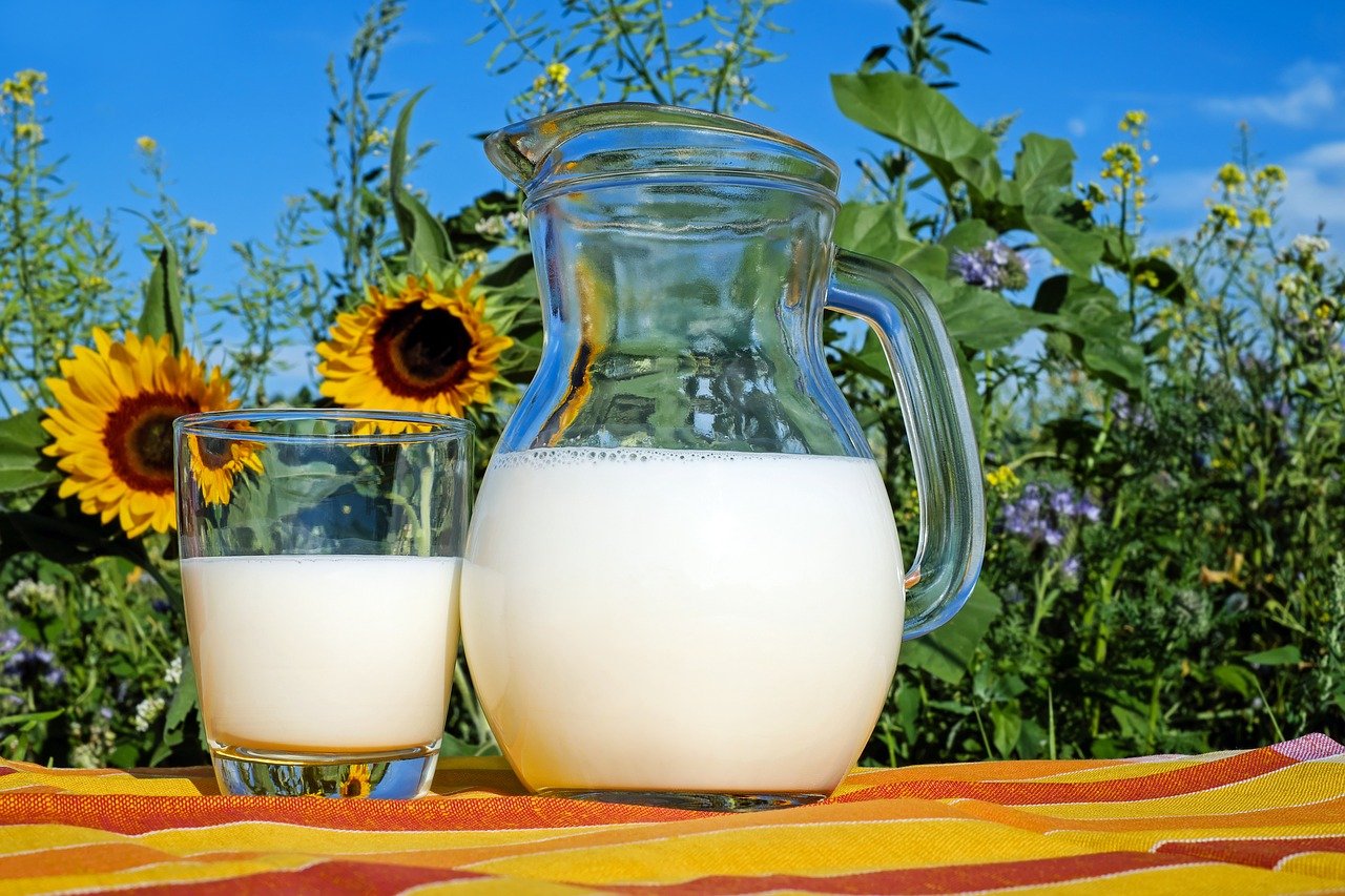 7 Manfaat Oat Milk atau Susu Gandum untuk Kesehatan