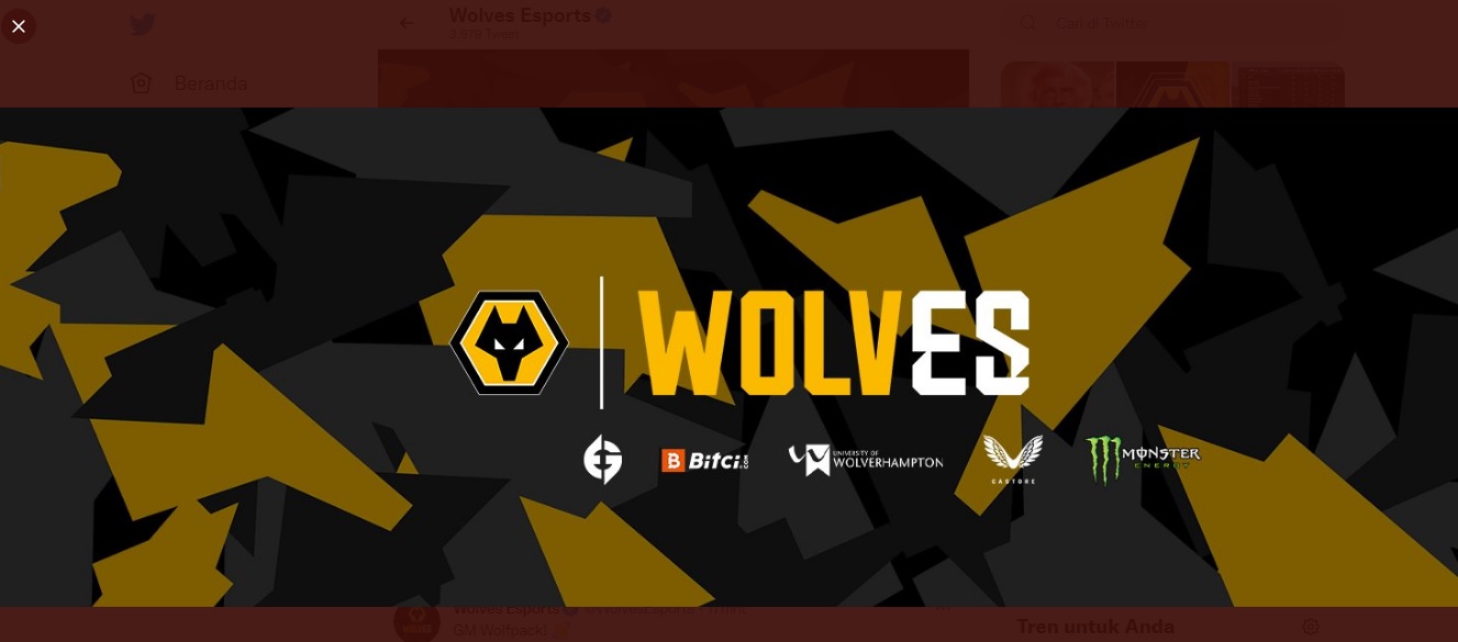 Wolves Akuisisi Tim Esport asal Cina untuk Ikuti King Pro League 2021
