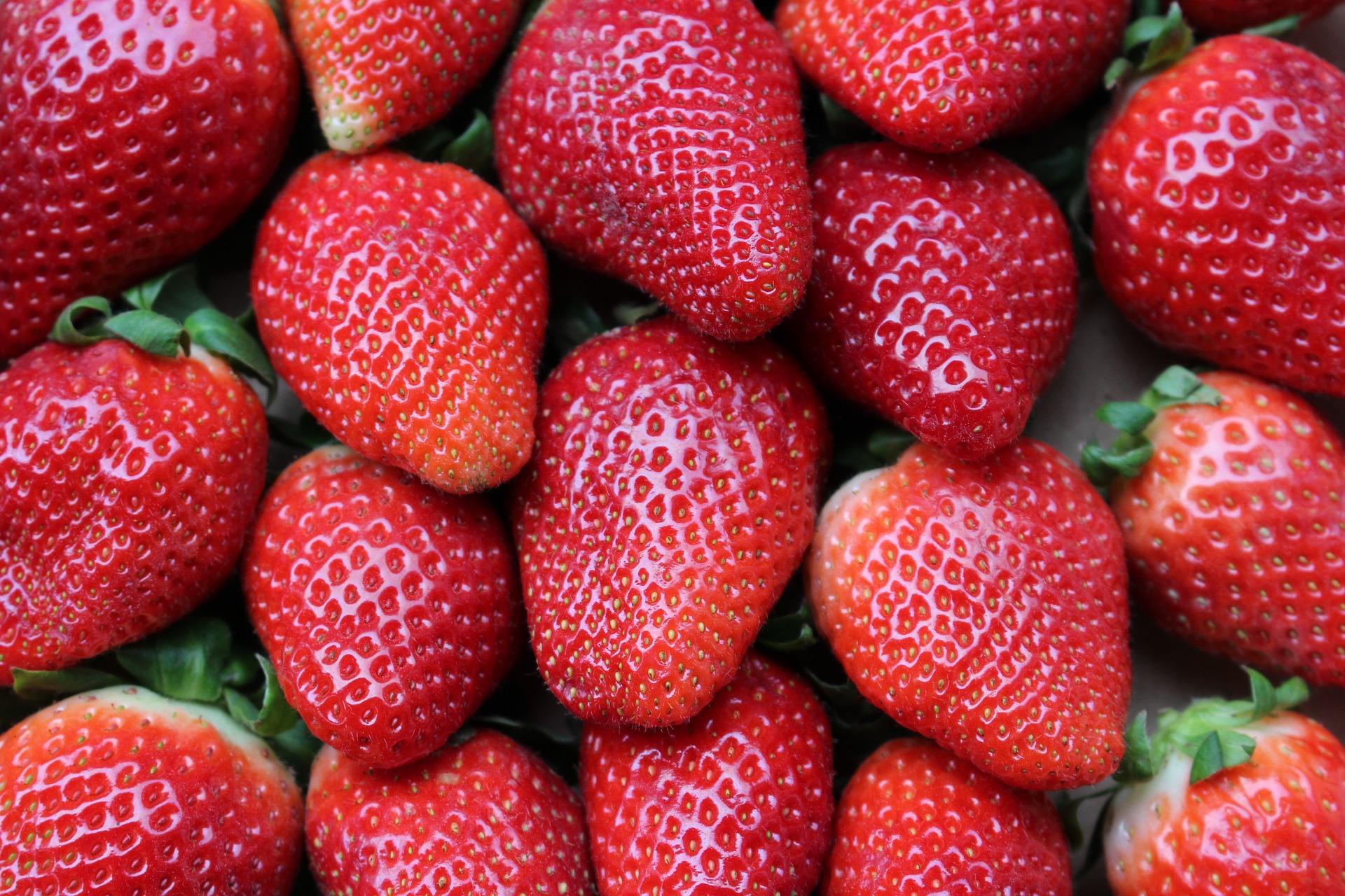 Manfaat yang Diperoleh dari Buah Strawberry, Mulai dari Mengurangi Kolesterol Hingga Berat Badan