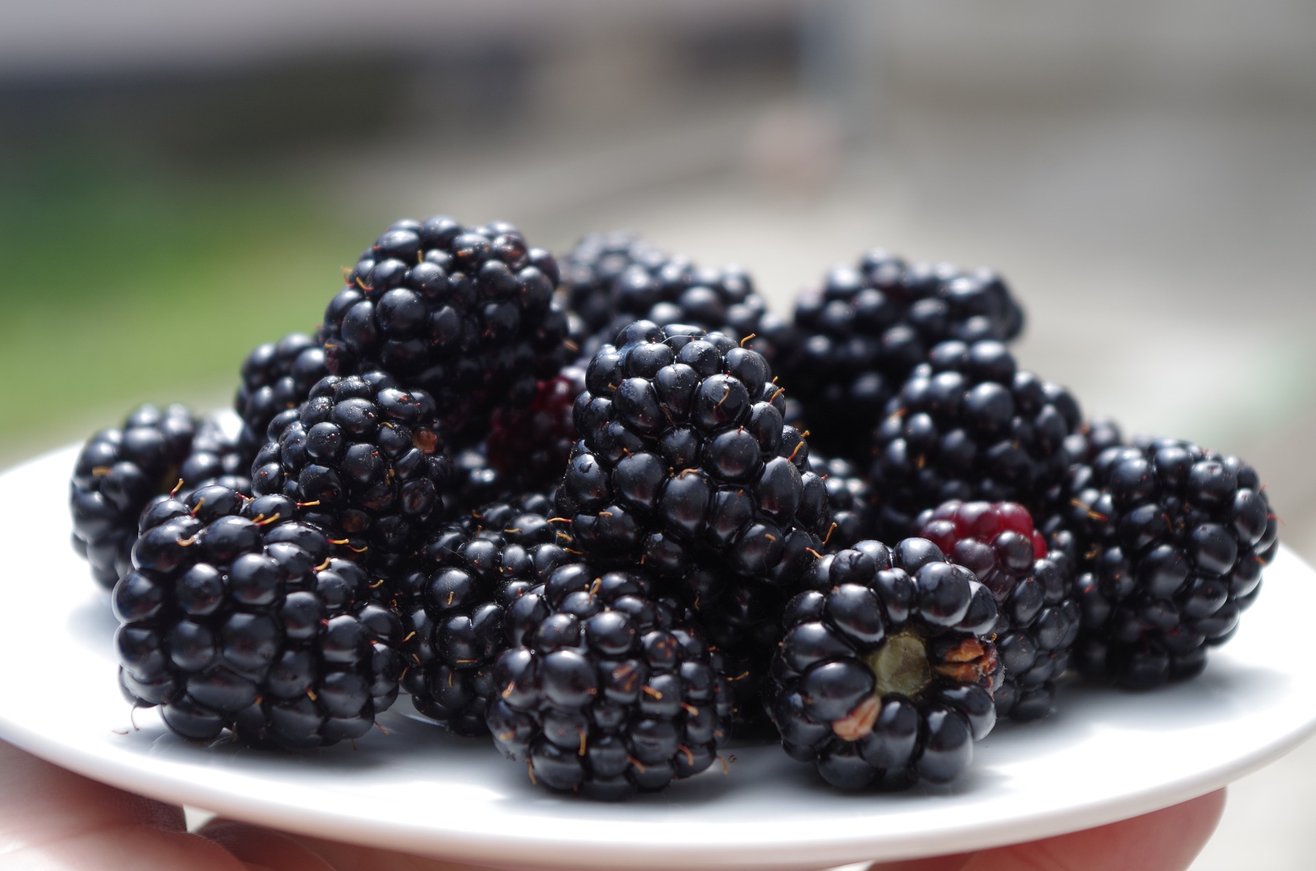 7 Manfaat Buah Blackberry untuk Kesehatan