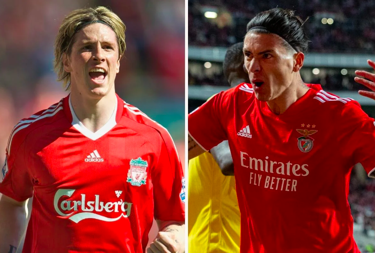 Bukan Jadi Cavani atau Suarez, Fans Liverpool Yakin Darwin Nunez The Next Fernando Torres