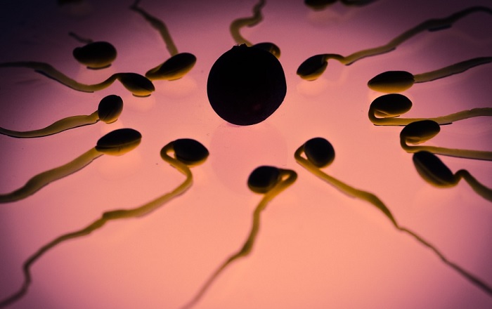 Disfungsi Hormonal Pria: 5 Kebiasaan yang Dapat Memengaruhi Kinerja Seksual dan Kesehatan Sperma