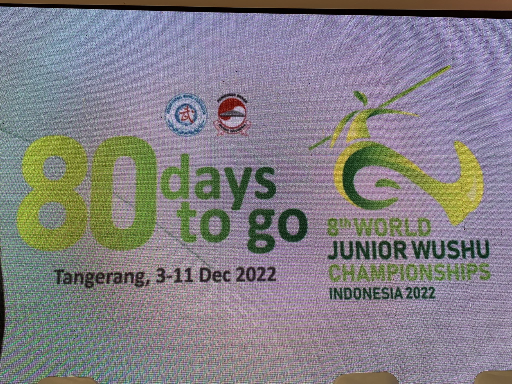 Tuan Rumah, Indonesia Targetkan 4 Medali Emas  di Kejuaraan Dunia Wushu Junior 2022