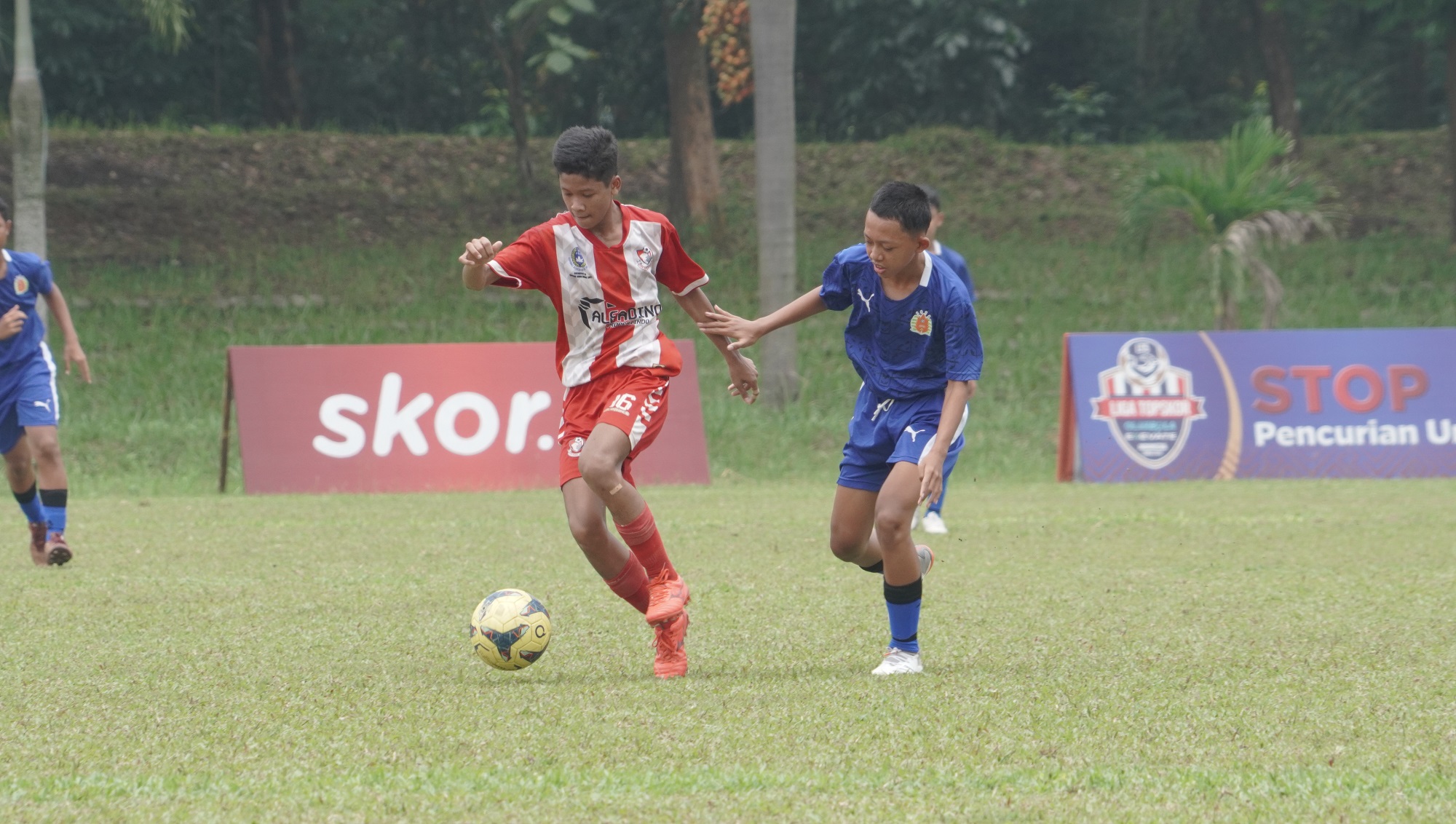 Hasil Liga TopSkor U-14 2022-2023: Fokus Pemain Membaik, Fass Junior Raih Poin Maksimal di Laga Kedua
