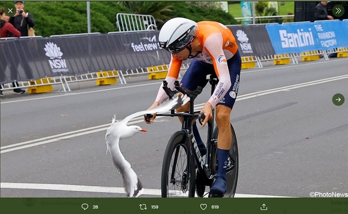 Video | Atlet Balap Sepeda Belanda Diserang Burung Murai dan Burung Camar di Kejuaraan Dunia Bersepeda