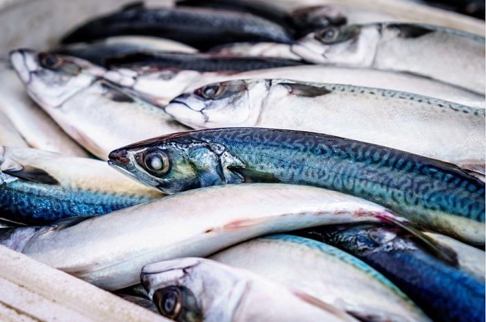 Sains Berbicara: Lima Jenis Ikan Paling Sehat yang Harus Anda Konsumsi setiap Minggu