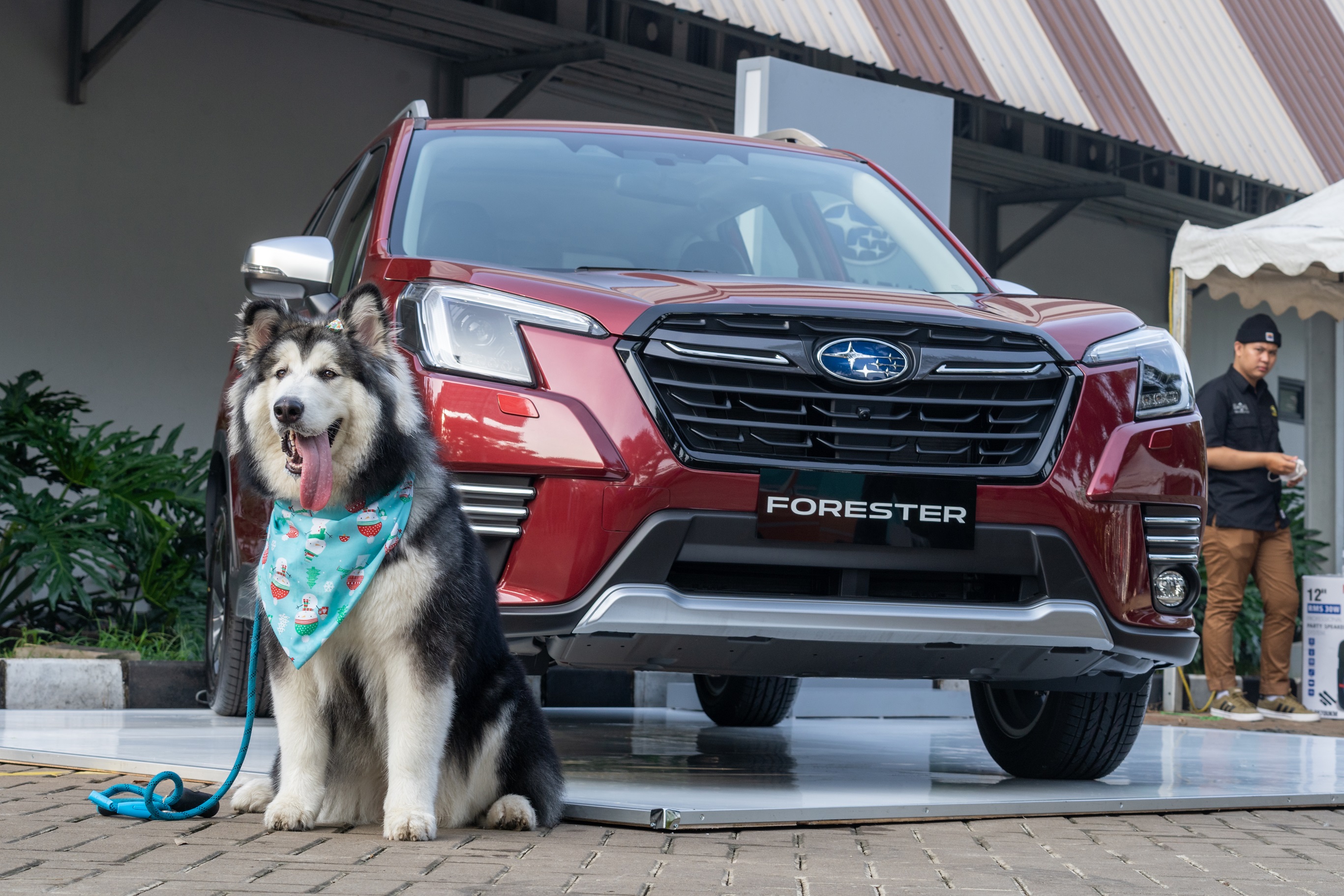 Promosikan Gaya Hidup Sehat, Subaru Loves Pets Hadir di PAWJOG 2022